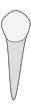 d21